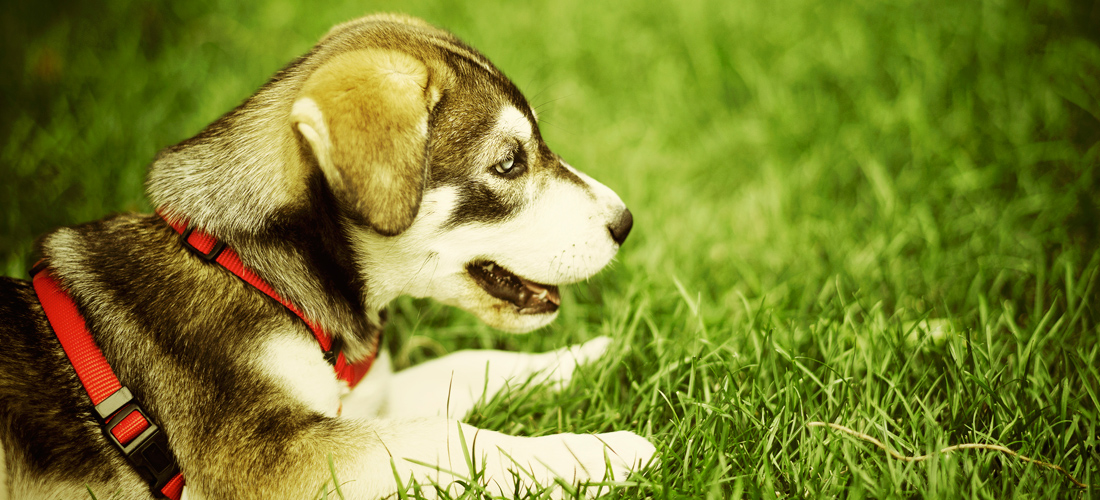 批发代理充值的网站ddos隐藏源ip