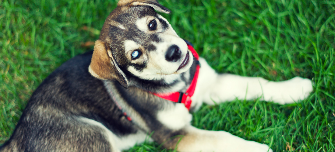 ddos在线攻击测试网站